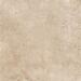 Керамогранит Alma Ceramica Marrone GFU04MRN44R 60x60