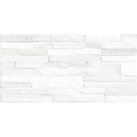 Alma Ceramica Mattone TWU09MTN004 24.9x50