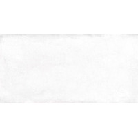 Alma Ceramica Mattone TWU09MTN007 24.9x50
