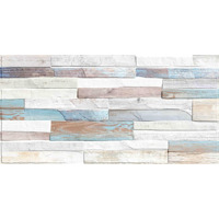 Alma Ceramica Mattone TWU09MTN604 24.9x50
