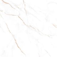 Керамогранит Alma Ceramica Neo Calacatta GFU04NCL04R 60x60