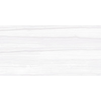 Alma Ceramica Persa TWU09PSA004 24.9x50