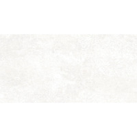 Alma Ceramica Piemonte TWU09PMT004 24.9x50