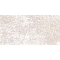 Alma Ceramica Piemonte TWU09PMT404 24.9x50