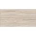 Alma Ceramica Plesso TWU09PLS034 24.9x50