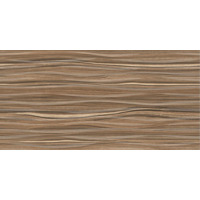Alma Ceramica Plesso TWU09PLS404 24.9x50