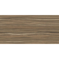 Alma Ceramica Plesso TWU09PLS424 24.9x50