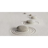 Alma Ceramica Relax DWU09RLX004 24.9x50