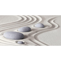 Alma Ceramica Relax DWU09RLX034 24.9x50