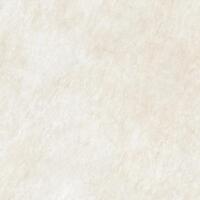 Керамогранит Alma Ceramica Ricci GFU04RIC04R 60x60
