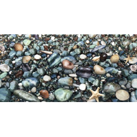 Alma Ceramica Riviera DWU09RVR024 24.9x50