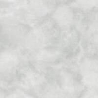 Керамогранит Alma Ceramica Soul GFA57SUL07R 57x57
