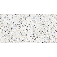 Керамогранит Alma Ceramica Terrazzo GFA114TRZ07L 57x114