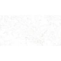 Alma Ceramica Trevis TWU09TVS014 24.9x50