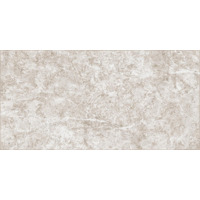 Alma Ceramica Trevis TWU09TVS414 24.9x50