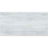 Alma Ceramica Venezia TWU09PSR006 24.9x50