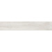 DA00 DAINTREE Light Grey 19.4x120