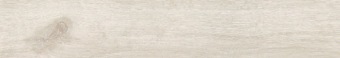 DA01 DAINTREE Light Beige 19.4x120