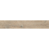 DA02 DAINTREE Rusty Beige 19.4x120