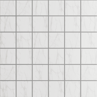 Мозаика SM02 Supreme непол./полир.(5x5) 30x30x1.0