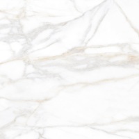 SM02 Supreme полированный 60x60x10