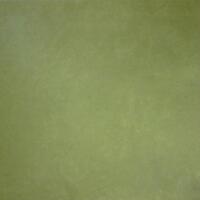Керамогранит Apavisa Anarchy Green Natural 59.55x59.55