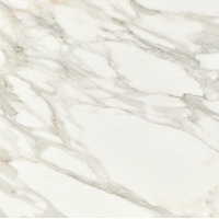 Керамогранит Apavisa Borghini White Pulido 59.55x59.55