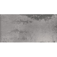 Керамогранит Apavisa Cast Iron Silver Natural 29.75x59.55