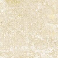 Керамогранит Apavisa Emotion Beige Natural 59.55x59.55