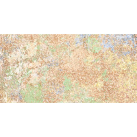 Керамогранит Apavisa Emotion Red Natural 49.75x99.55