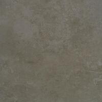 Керамогранит Apavisa Evolution Moss Lappato 59.55x59.55