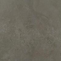 Керамогранит Apavisa Evolution Moss Striato 59.55x59.55