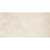 Керамогранит Apavisa Evolution White Natural 59.55x119.3