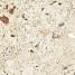 Керамогранит Apavisa Granitec Beige Pulido Taco 8x8