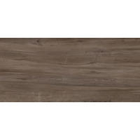 Керамогранит Apavisa Junoon Brown 119.3x260