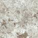 Керамогранит Apavisa Patagonia Grey Polished 99.55x99.55