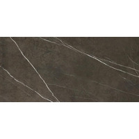 Керамогранит Apavisa Pietra Grey Polished 119.3x260