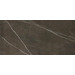 Керамогранит Apavisa Pietra Grey Polished 119.3x260