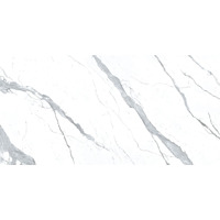 Керамогранит Apavisa Statuario Extra White Polished Bookmatch Block-A 119.3x260