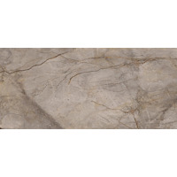 Керамогранит Apavisa Wild Forest Grey Polished Block-A 119.3x260