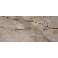 Керамогранит Apavisa Wild Forest Grey Polished Block-B 119.3x260