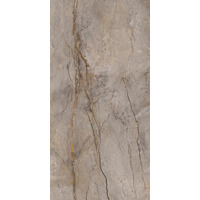 Керамогранит Apavisa Wild Forest Grey Pulido 59.55x119.3