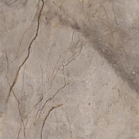 Керамогранит Apavisa Wild Forest Grey Pulido 59.55x59.55