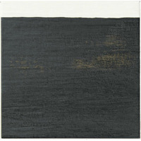 Керамогранит Ape Esencia Material Limit 20x20