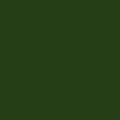 Керамика Ape Lord Kingdom Verde Botella 20x20