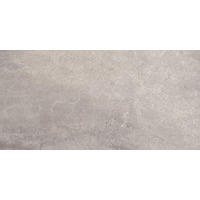 Керамогранит Arcana Avenue Gris 30x60
