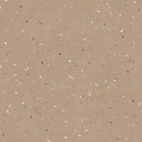 Керамогранит Arcana Croccante R Nuez 120x120