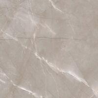 Керамогранит Arcana Marble Vanity R Pearl 59.3x59.3