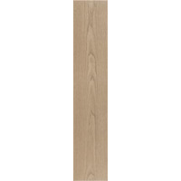 Керамогранит Argenta Arco Nut 23x120