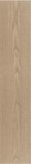 Керамогранит Argenta Arco Nut 23x120